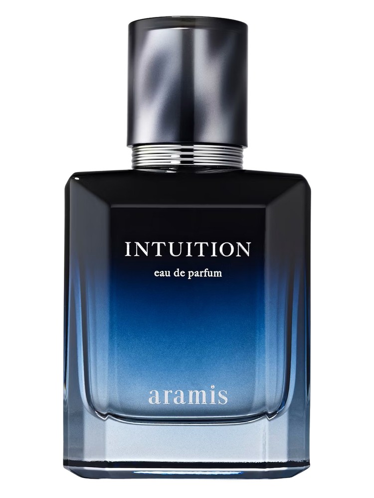 Intuition