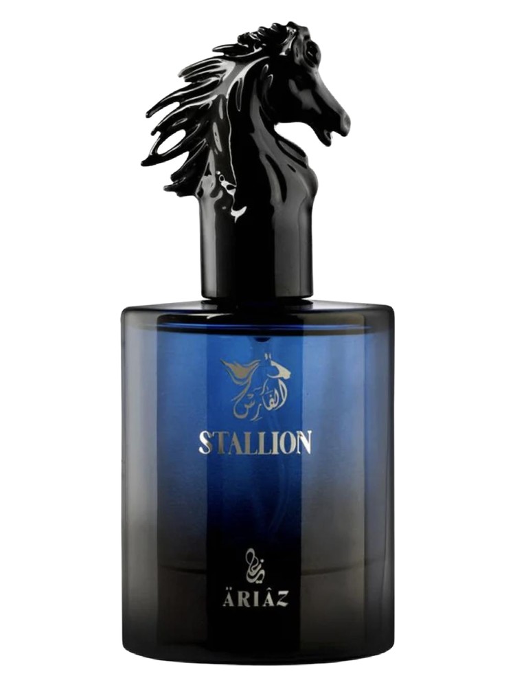 Stallion