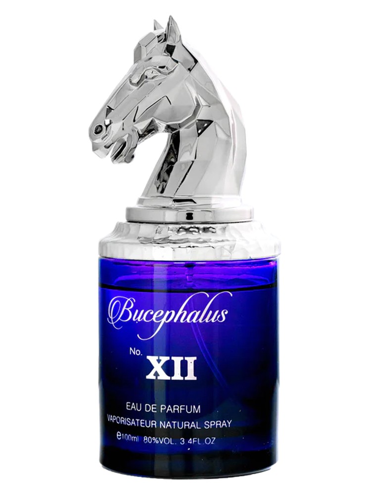 Bucephalus XII