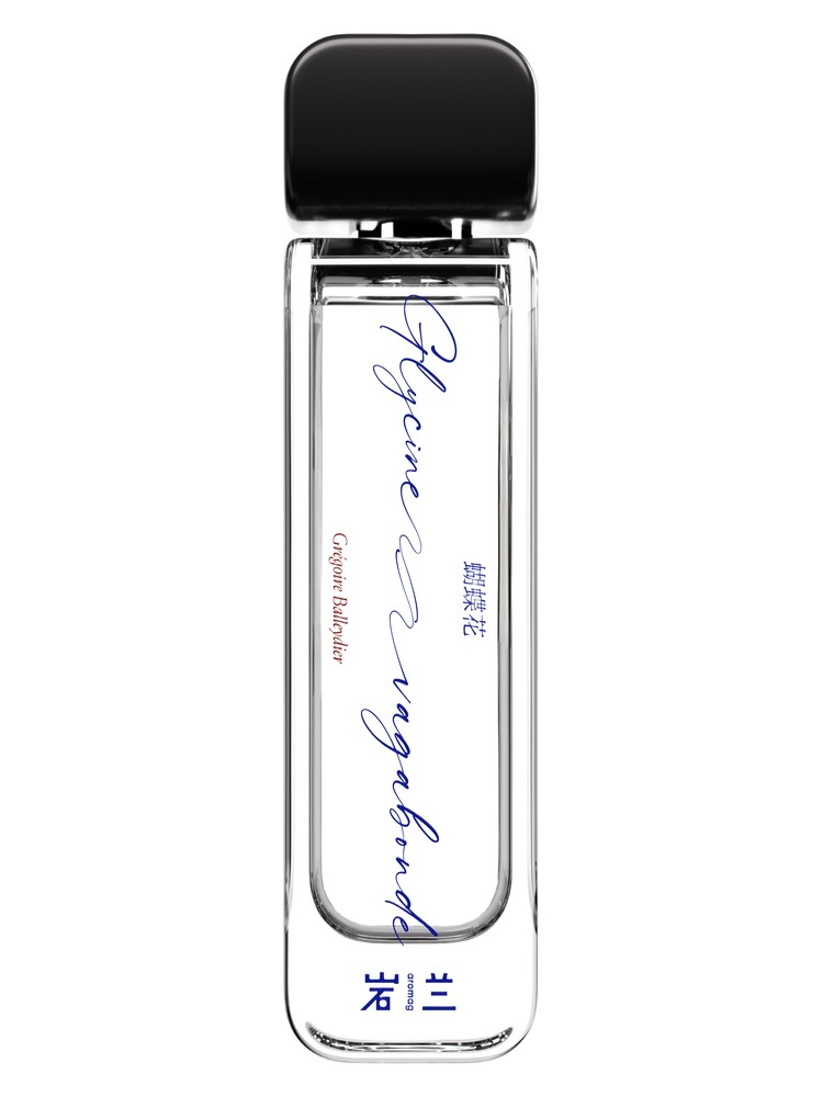 Glycine Vagabonde 蝴蝶花