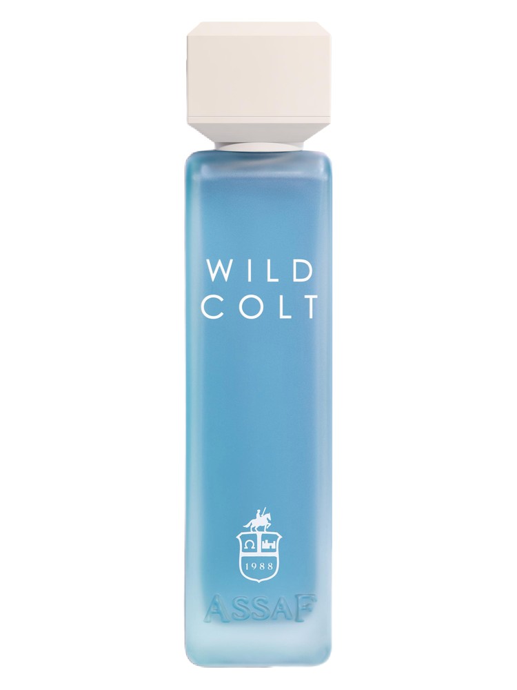Wild Colt