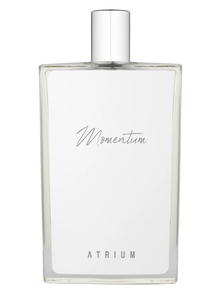 Momentum