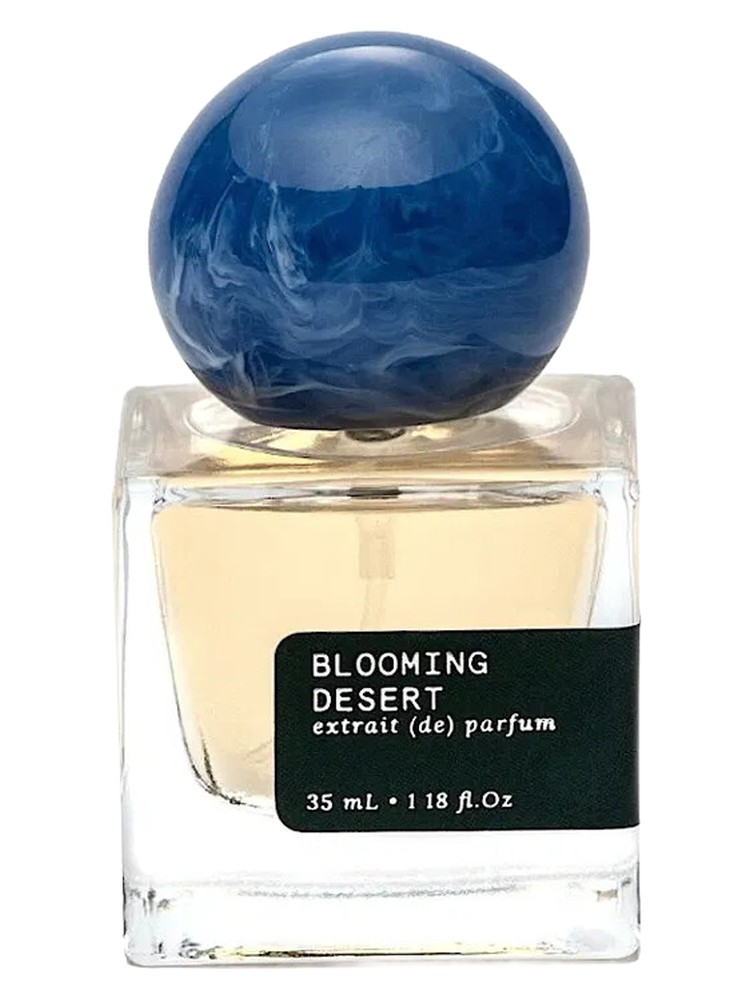 Blooming Desert