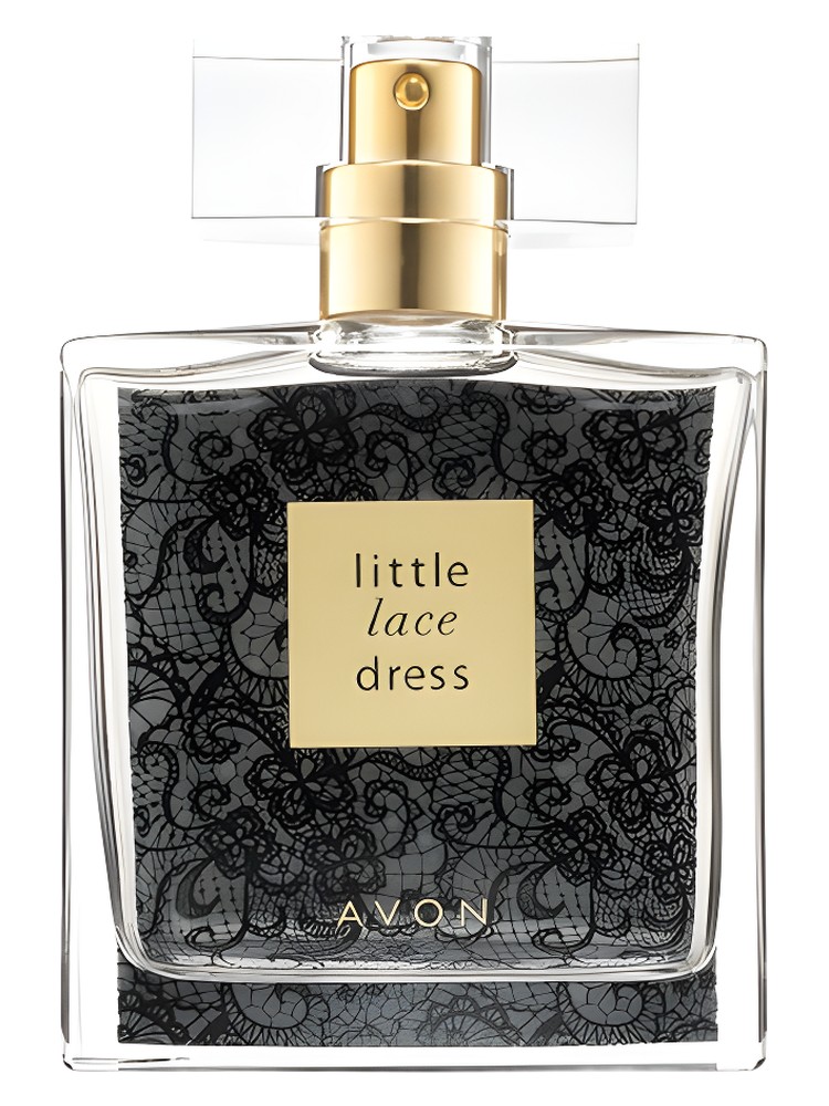 Little Lace Dress