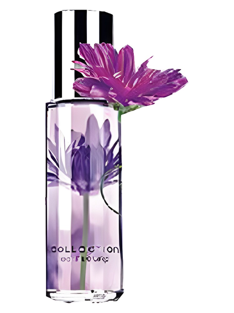 Passionate Purple