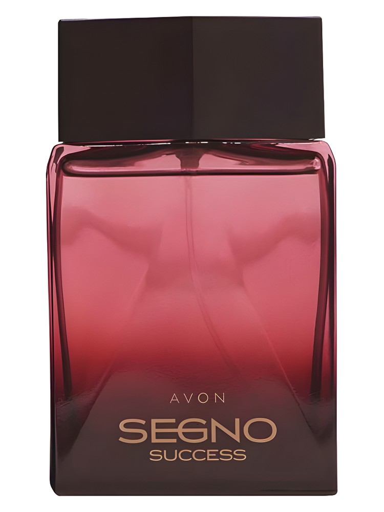 Segno Success