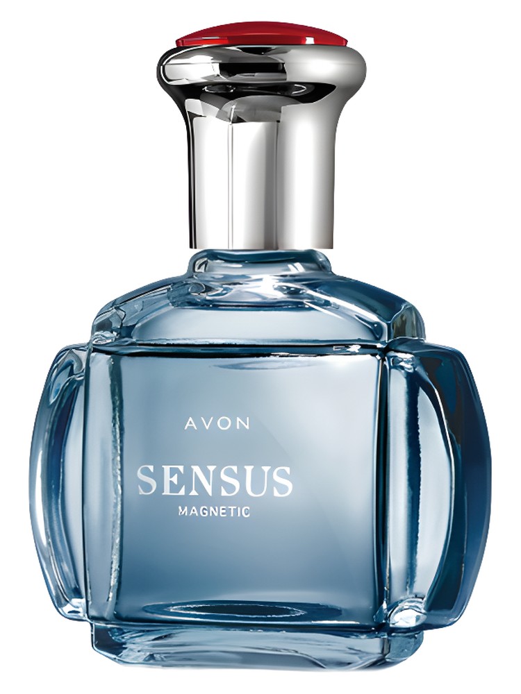 Sensus Magnetic