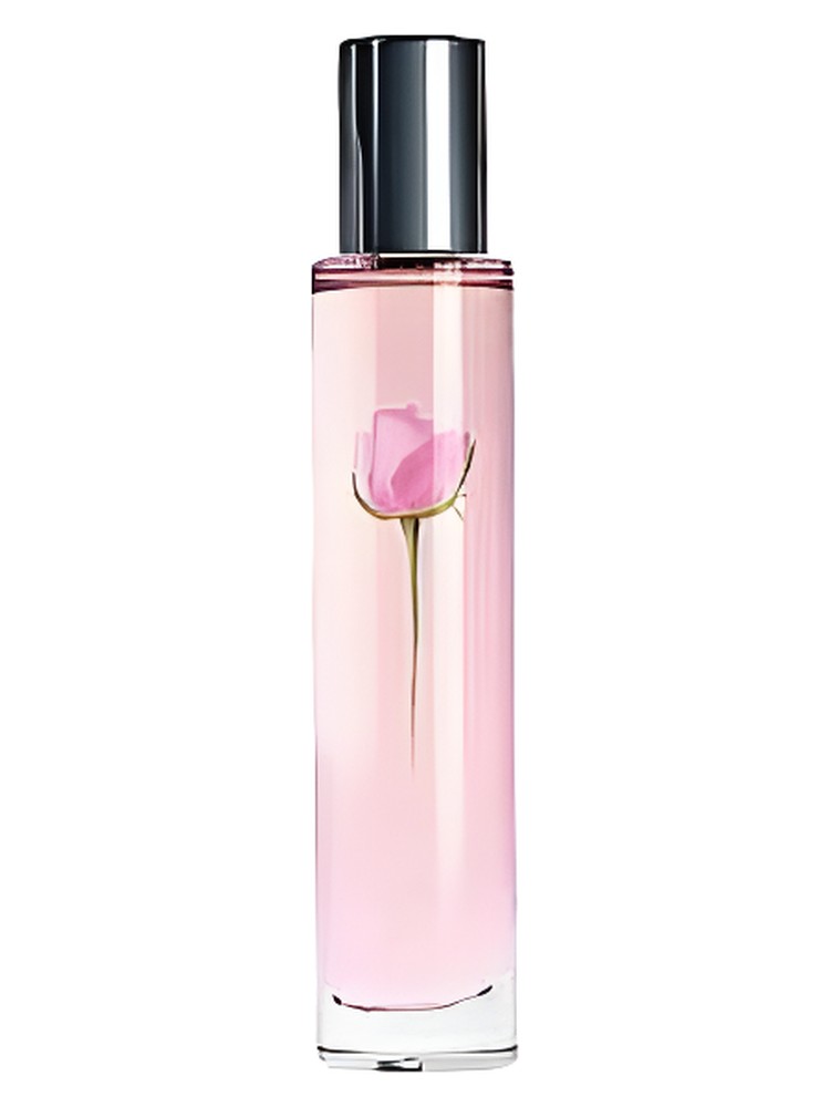 Sheer Rose