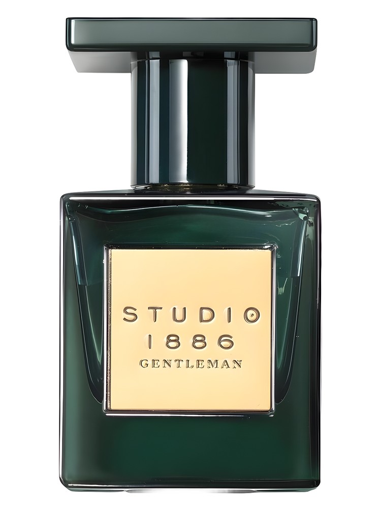 Studio 1886 Gentleman
