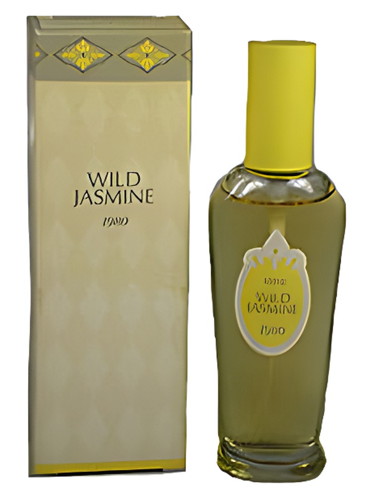 Wild Jasmine