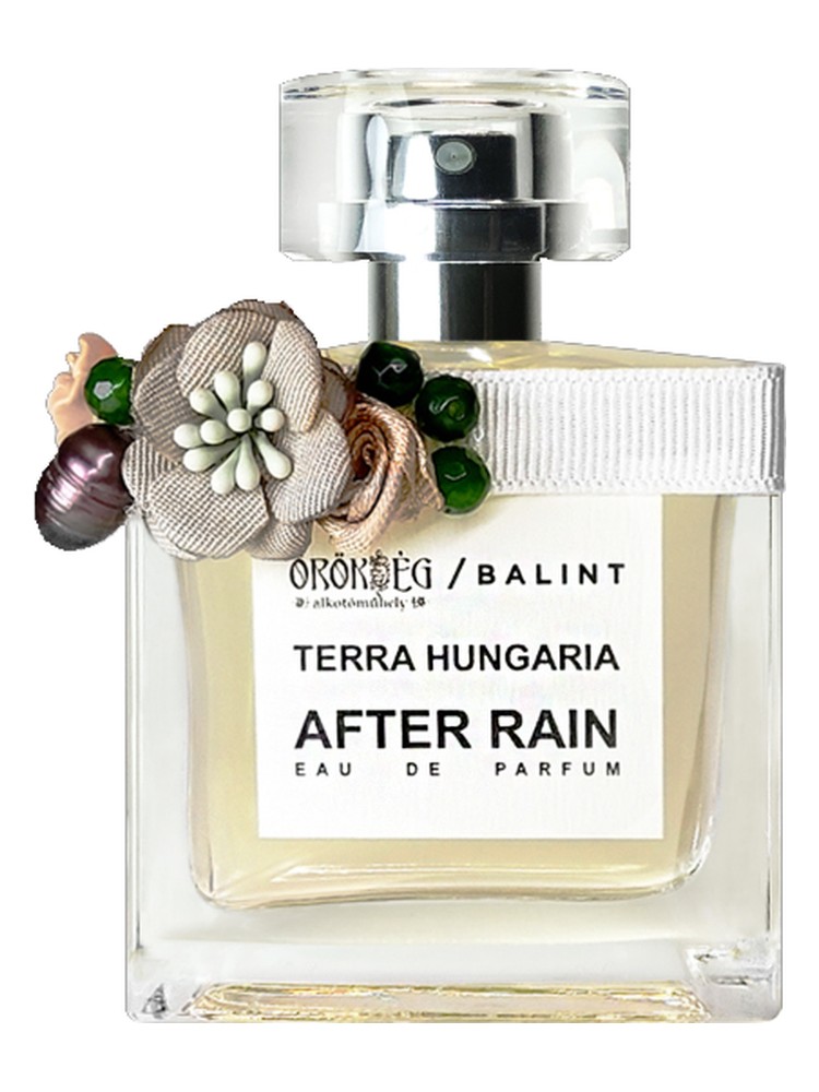 After Rain