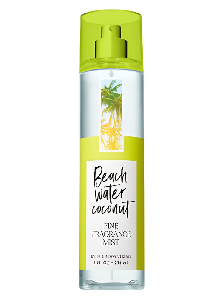 Beach Water Coconut