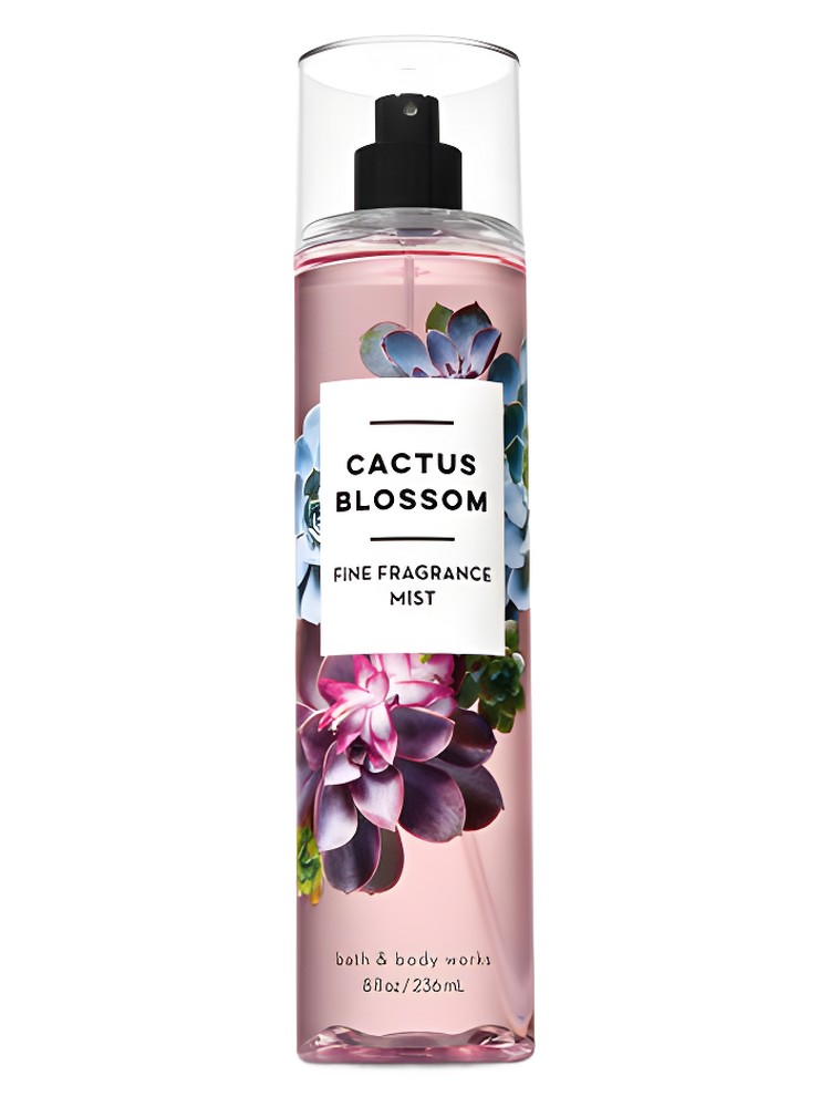 Cactus Blossom