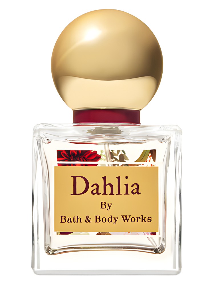 Dahlia