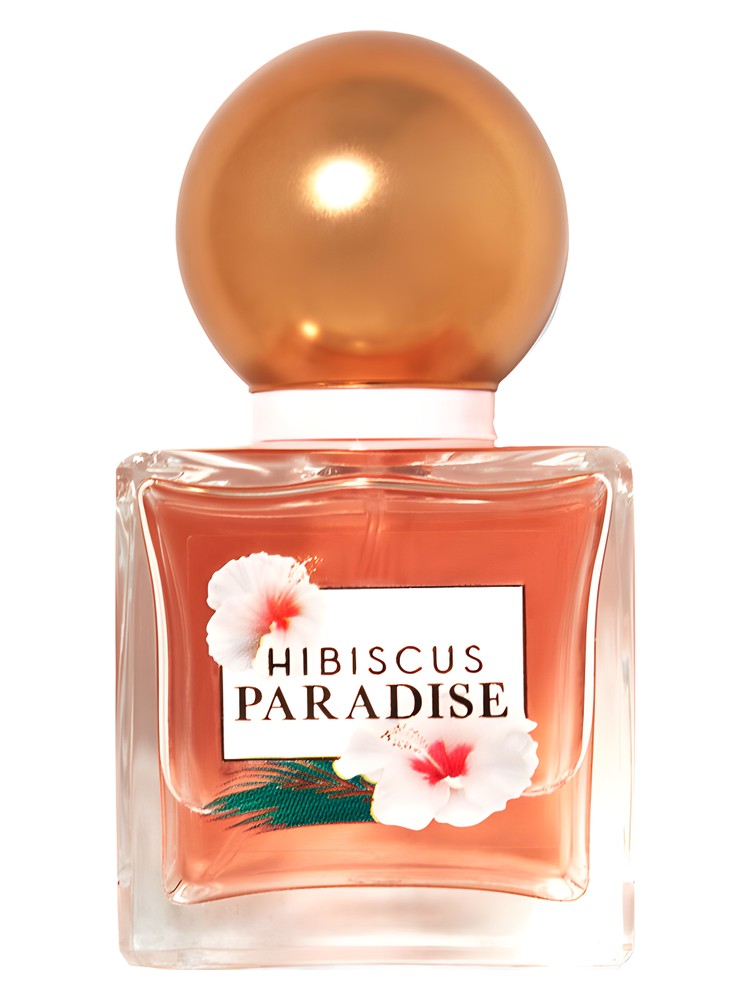 Hibiscus Paradise