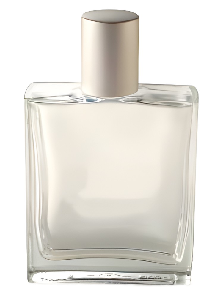 Indian Vetiver