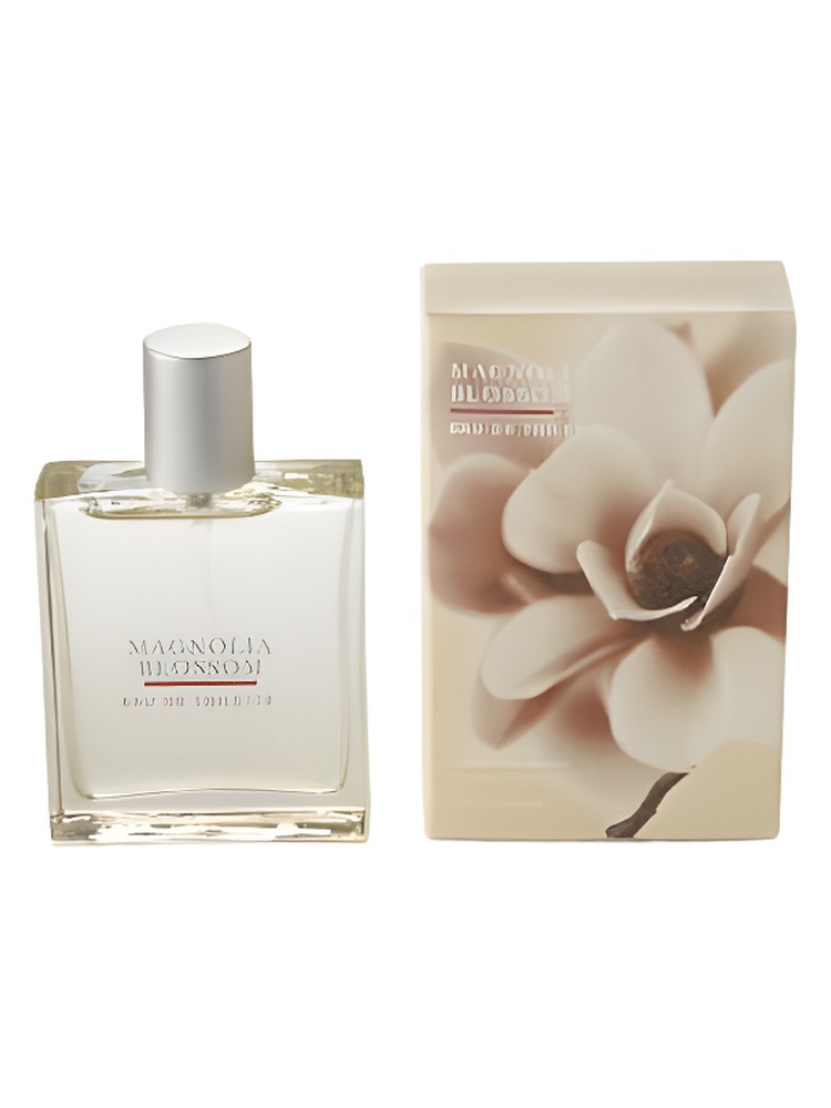 Magnolia Blossom
