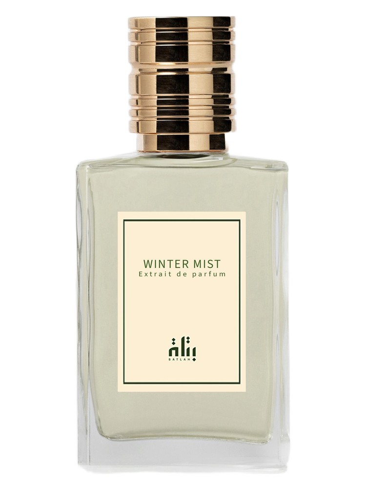Winter Mist