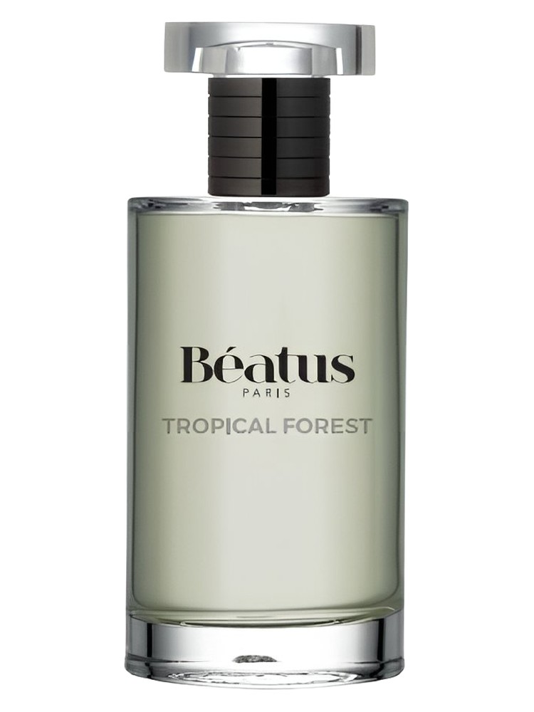 Tropical Forest