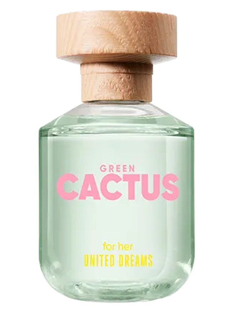 United Dreams Green Cactus For Her