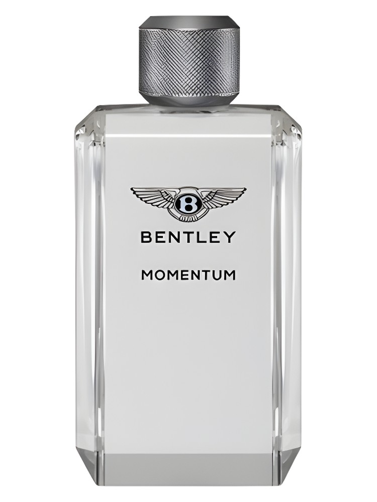 Momentum