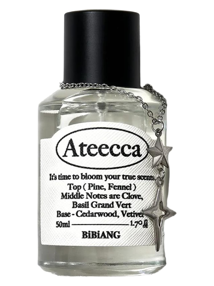 Ateecca