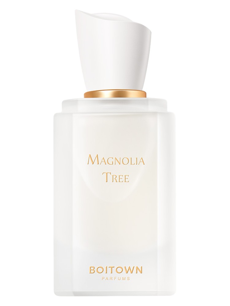 Magnolia Tree	一树玉兰