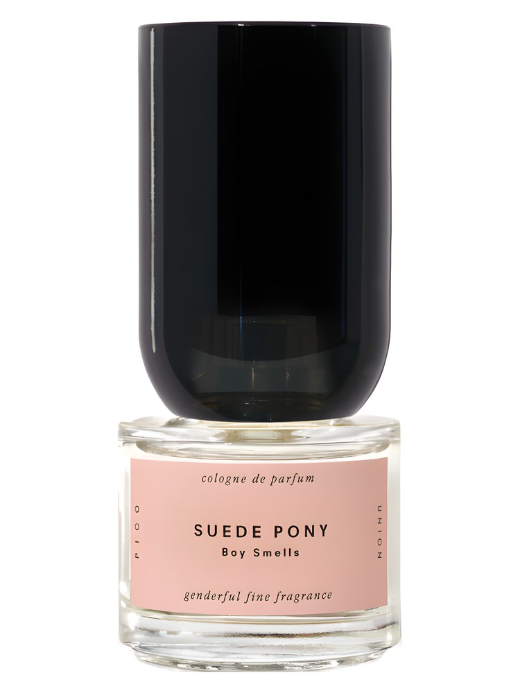 Suede Pony
