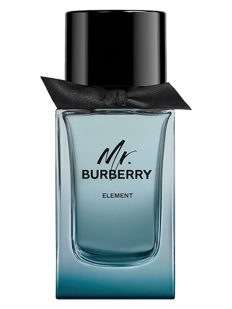 Mr. Burberry Element
