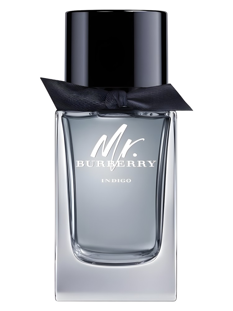 Mr. Burberry Indigo