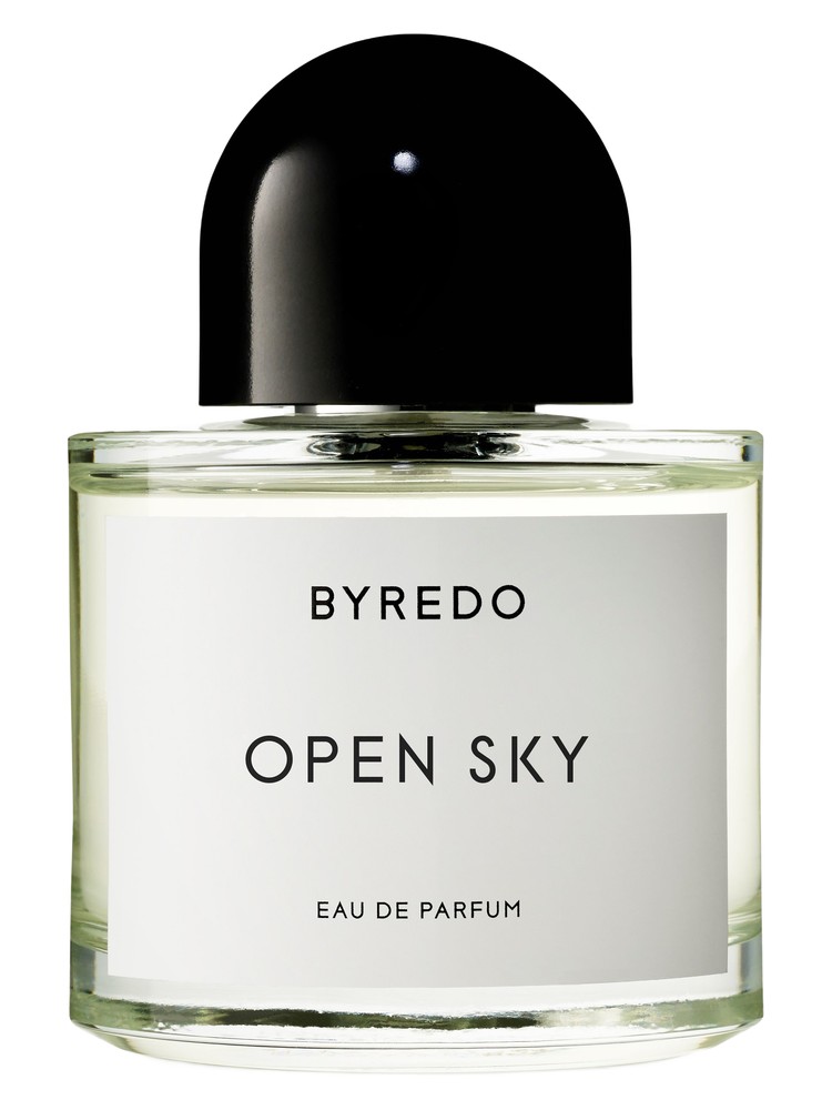 Open Sky