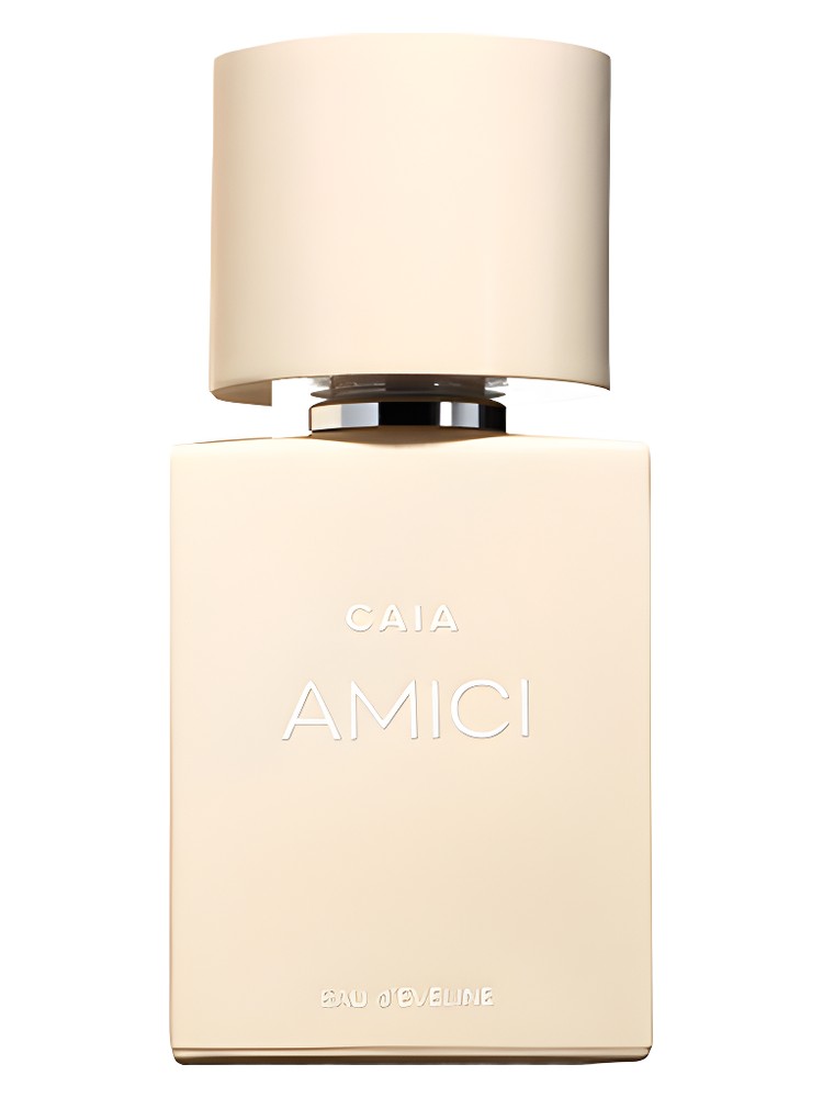 Amici