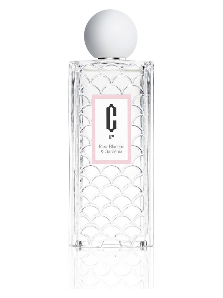 Rose Blanche & Gardénia