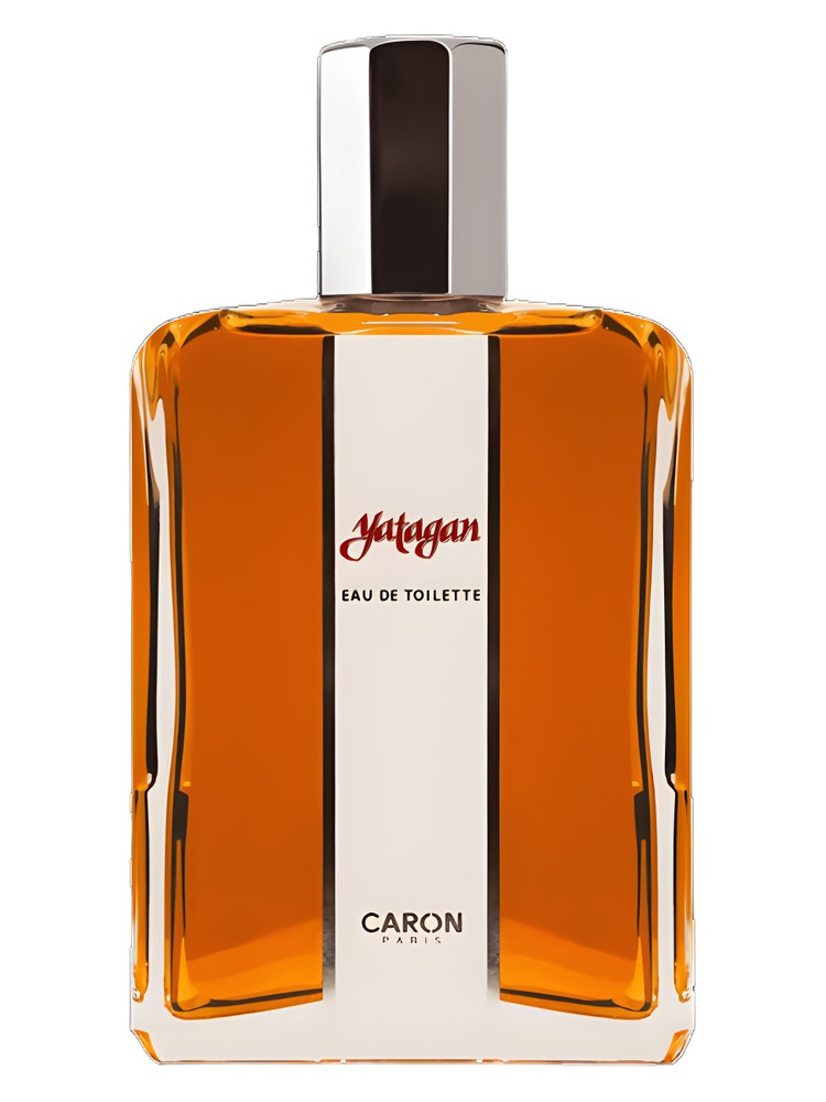 Yatagan