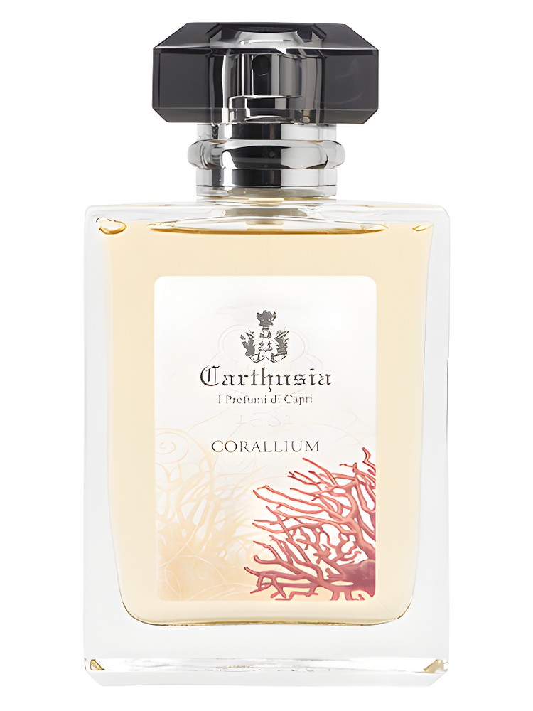 Corallium