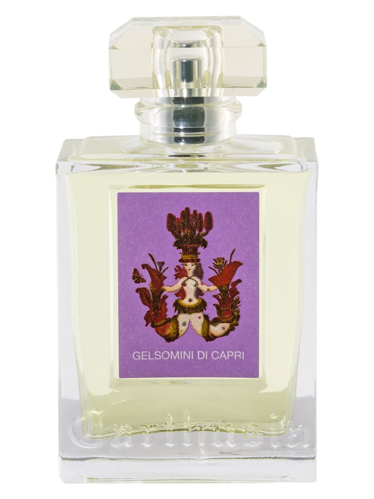 Gelsomini di Capri 2017