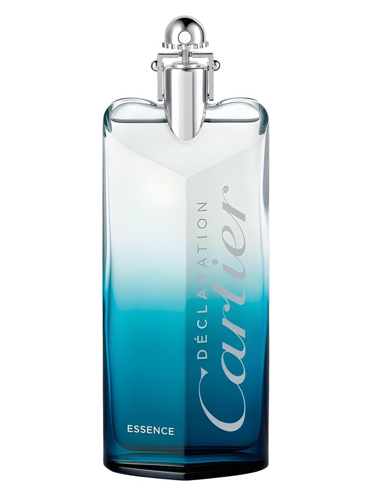 Declaration Essence