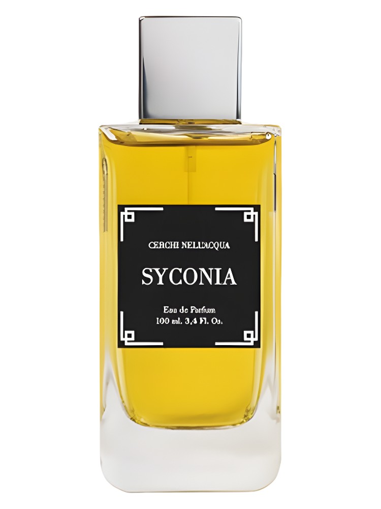 Syconia