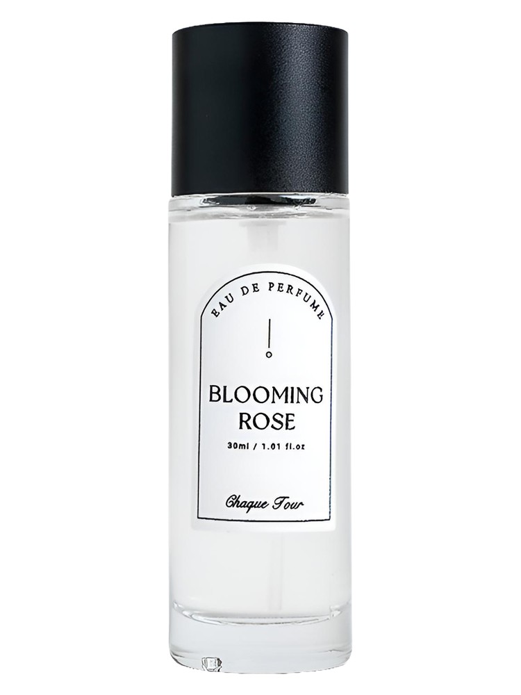 Blooming Rose