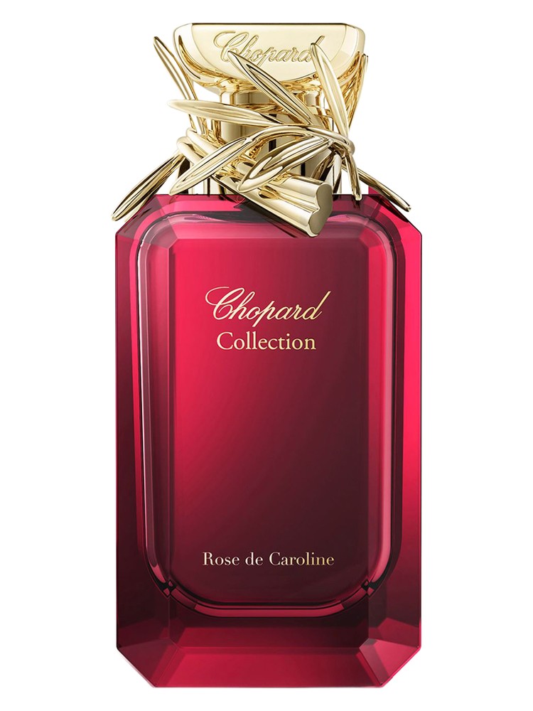 Rose de Caroline