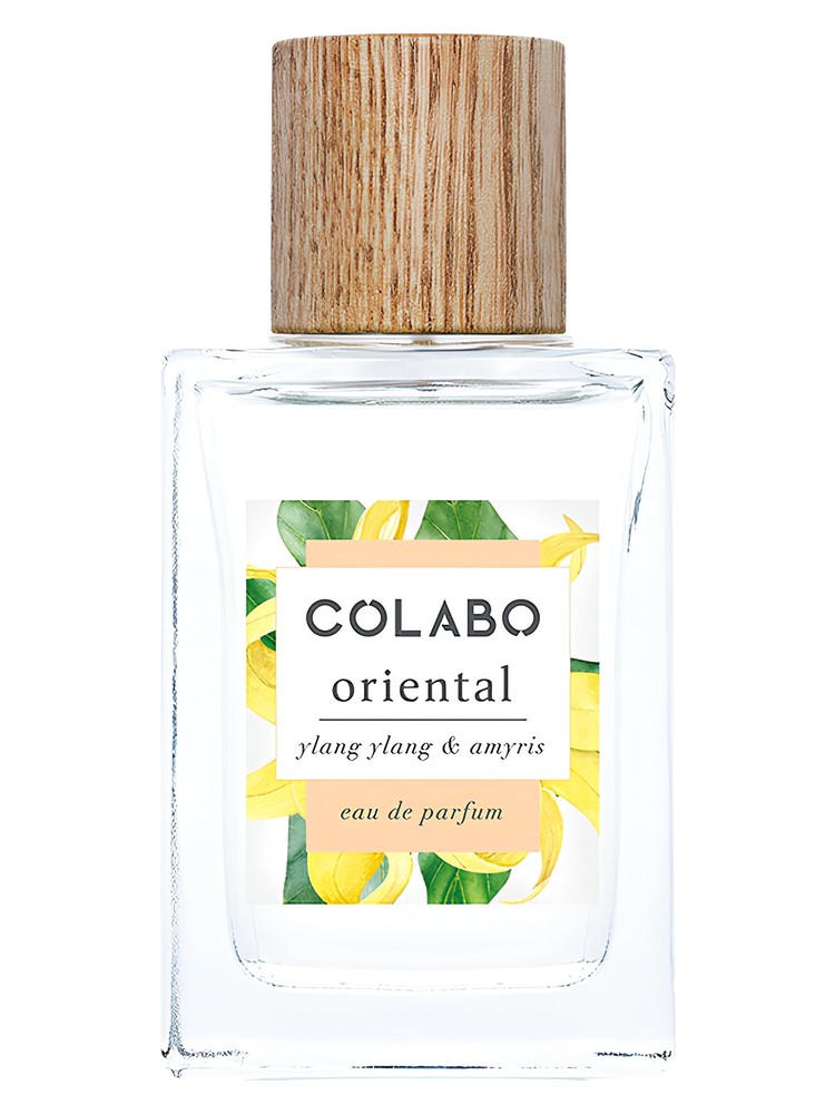 Oriental Ylang Ylang & Amyris