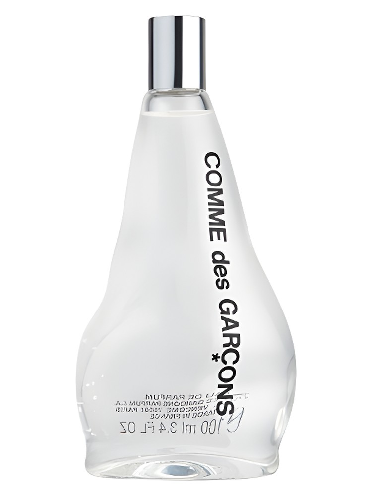 Comme des Garcons 2011