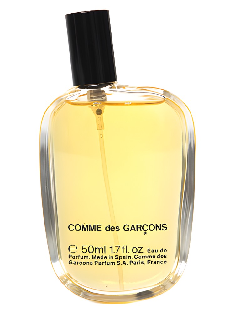 Comme des Garcons