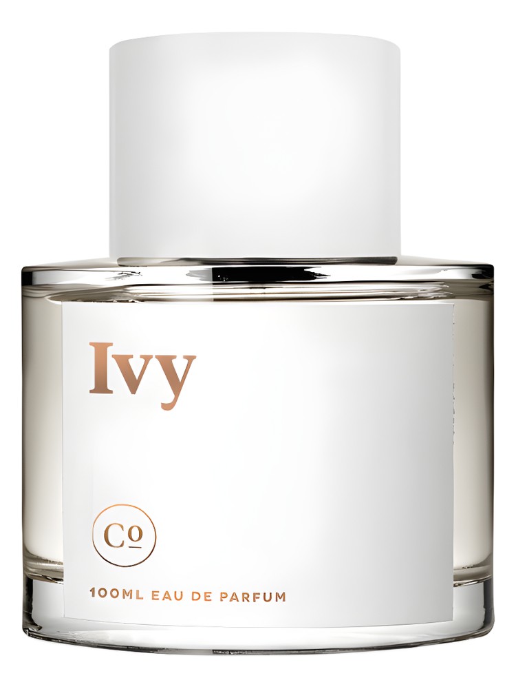 Ivy