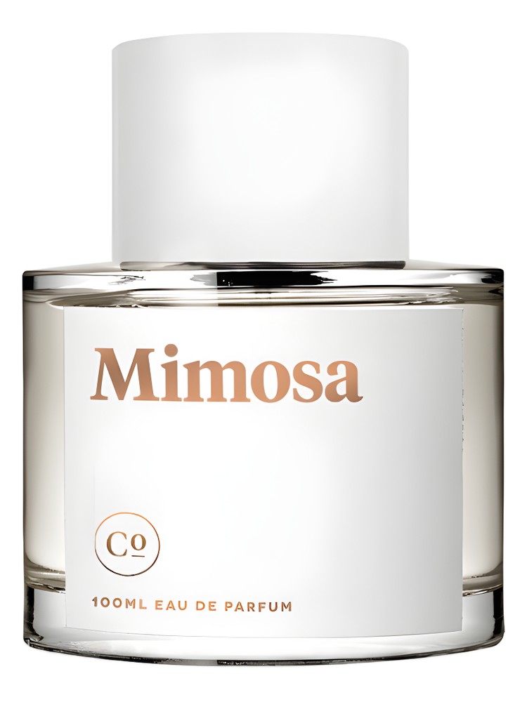 Mimosa