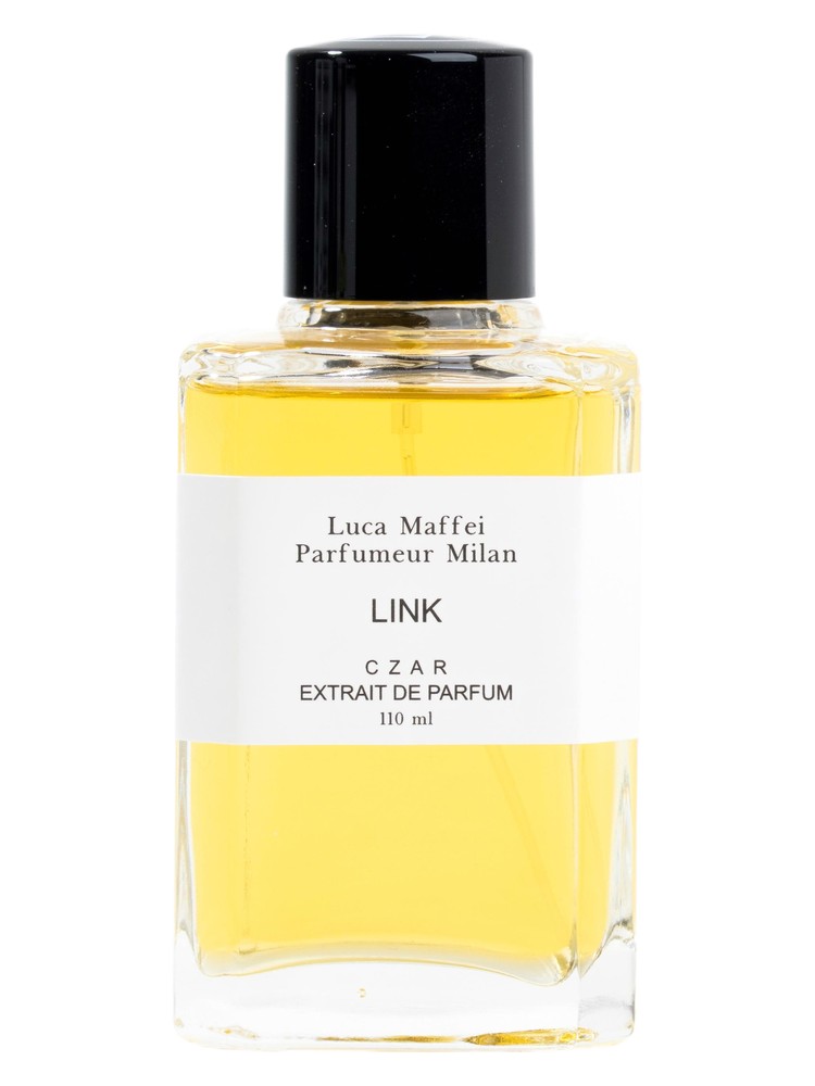LINK X Luca Maffei