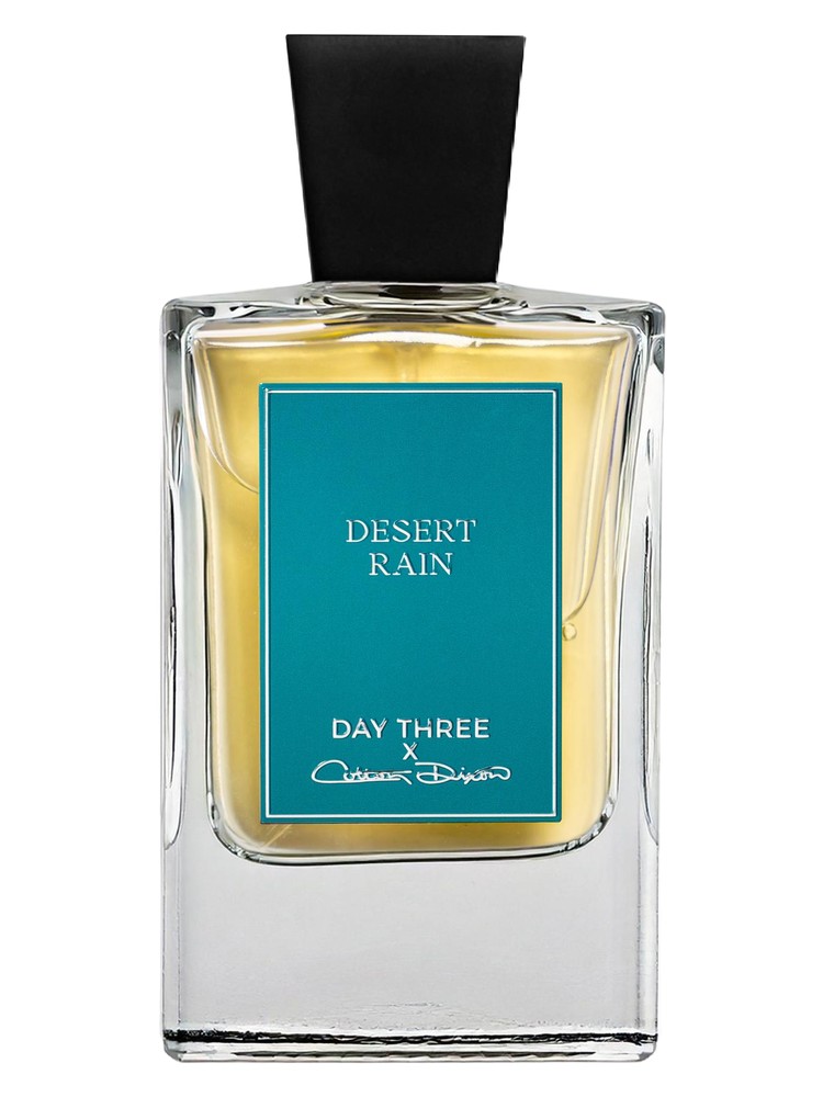 Desert Rain