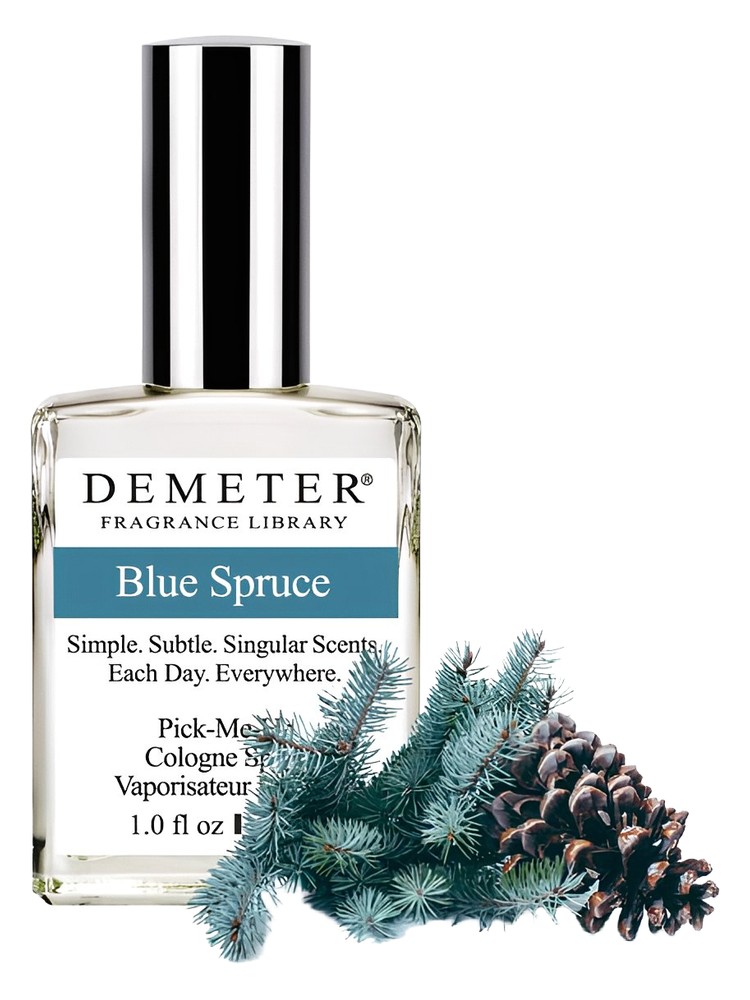 Blue Spruce