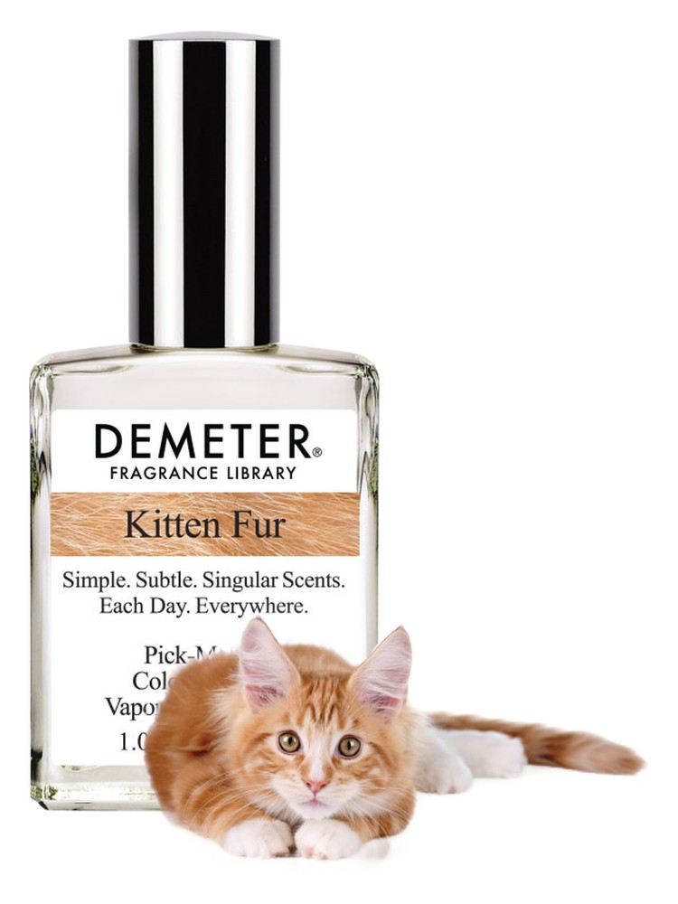 Kitten Fur