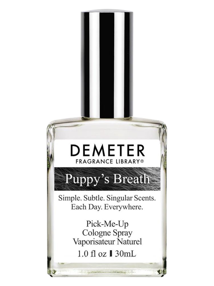 Puppy's Breath
